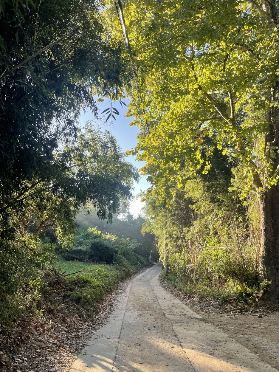 KakaoTalk_20241024_091312499.jpg?type=w1