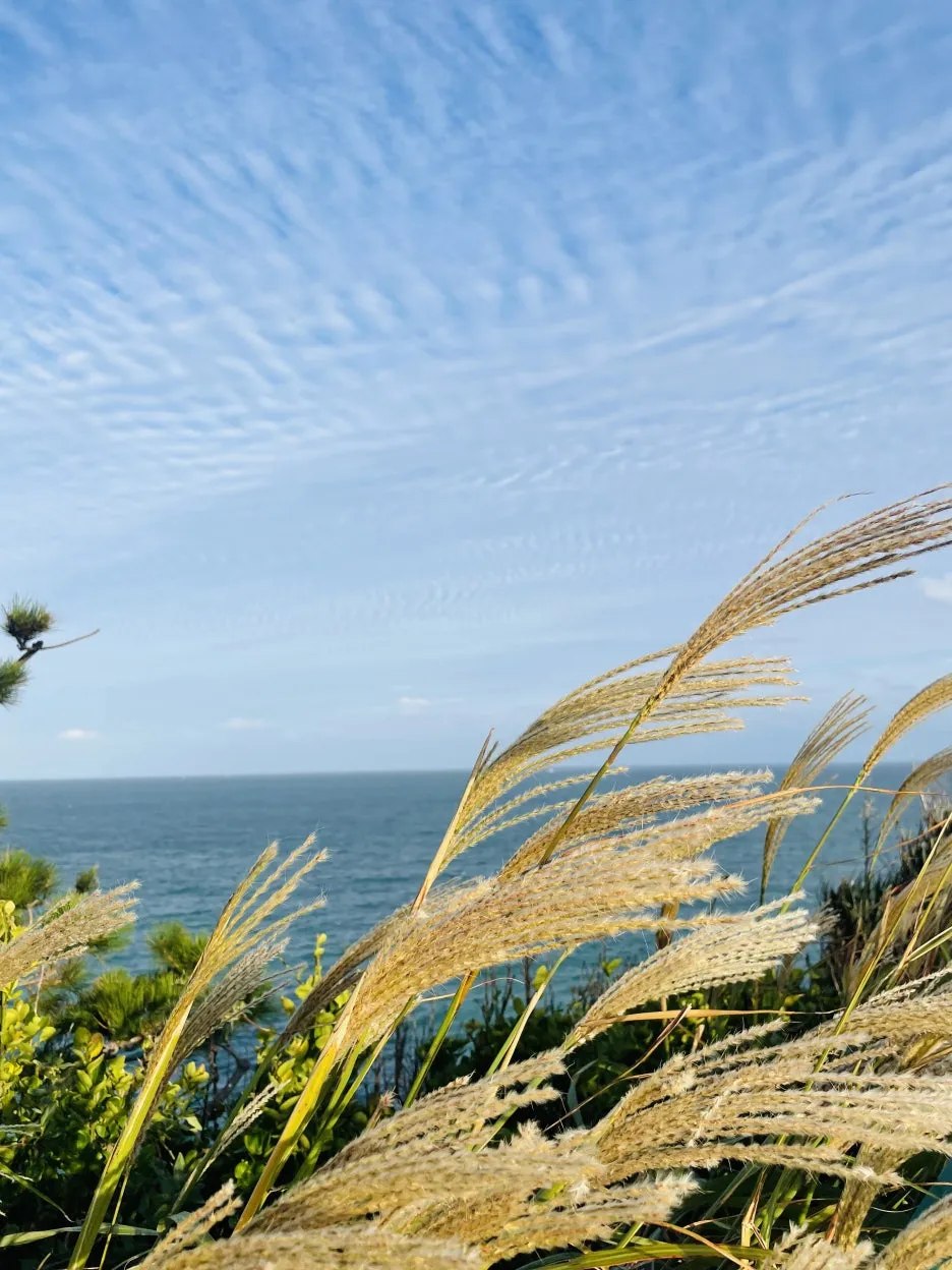 KakaoTalk_20241029_213112390.jpg?type=w1