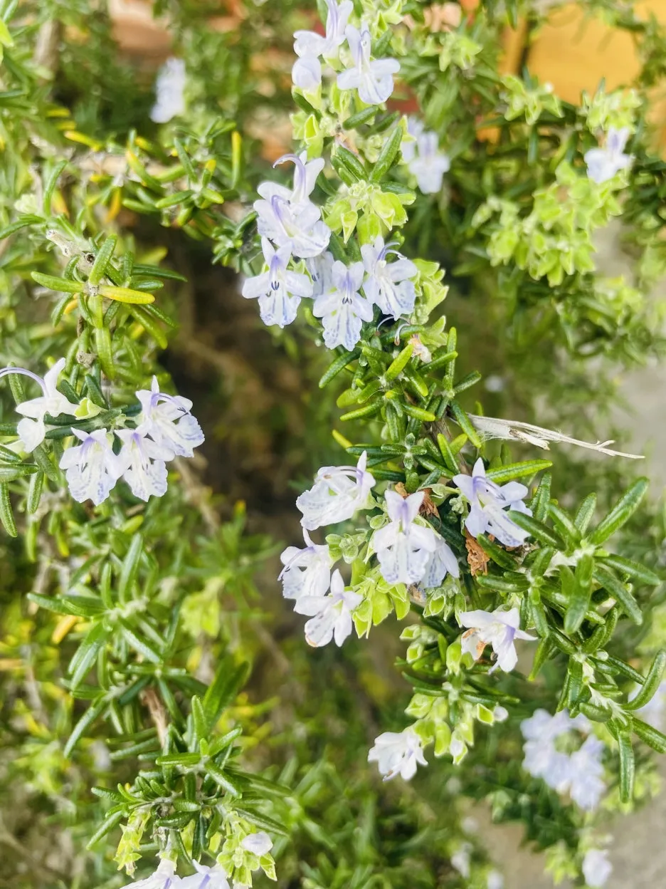 KakaoTalk_20241030_223256797.jpg?type=w1