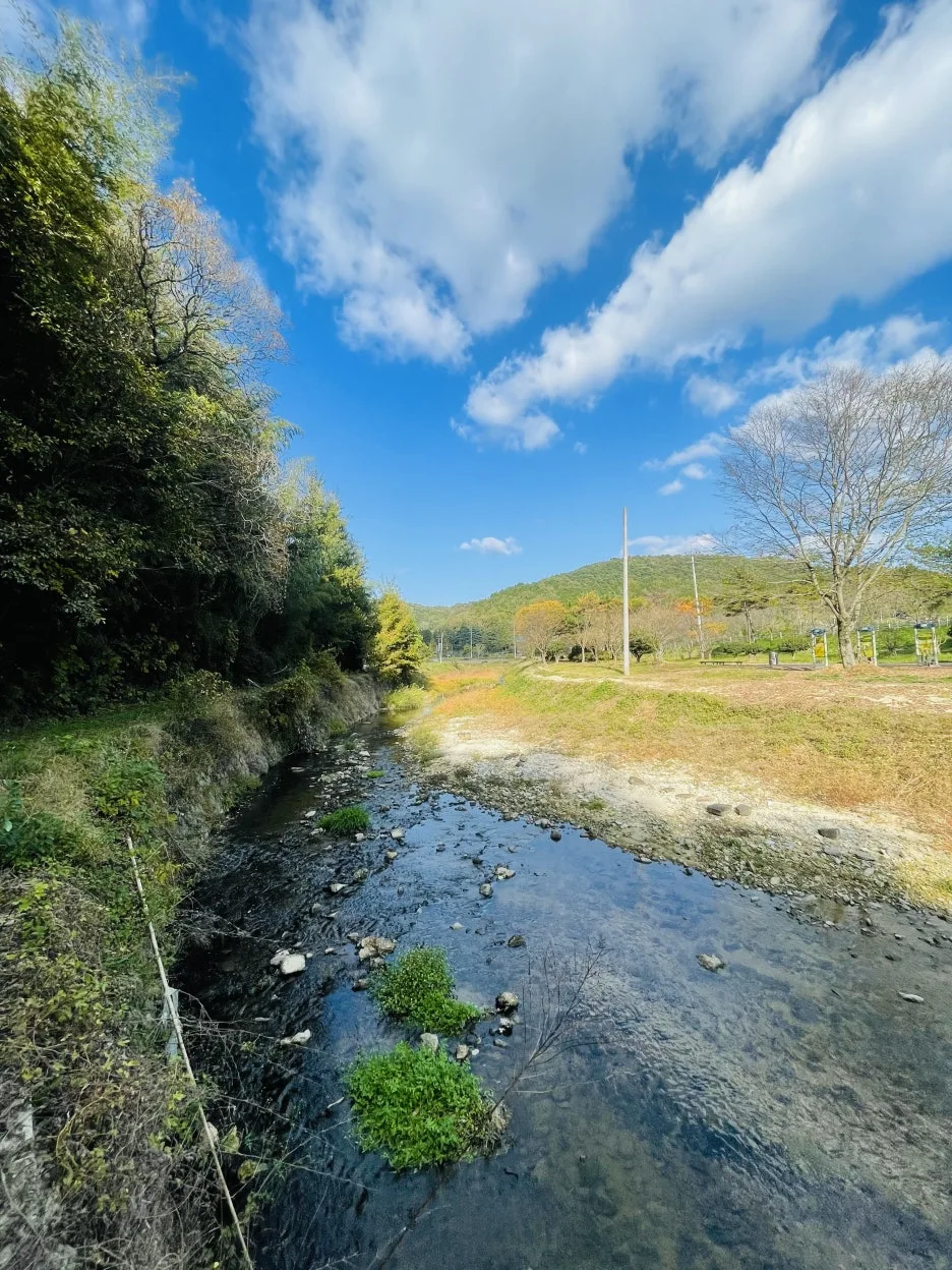 KakaoTalk_20241103_214742586.jpg?type=w1