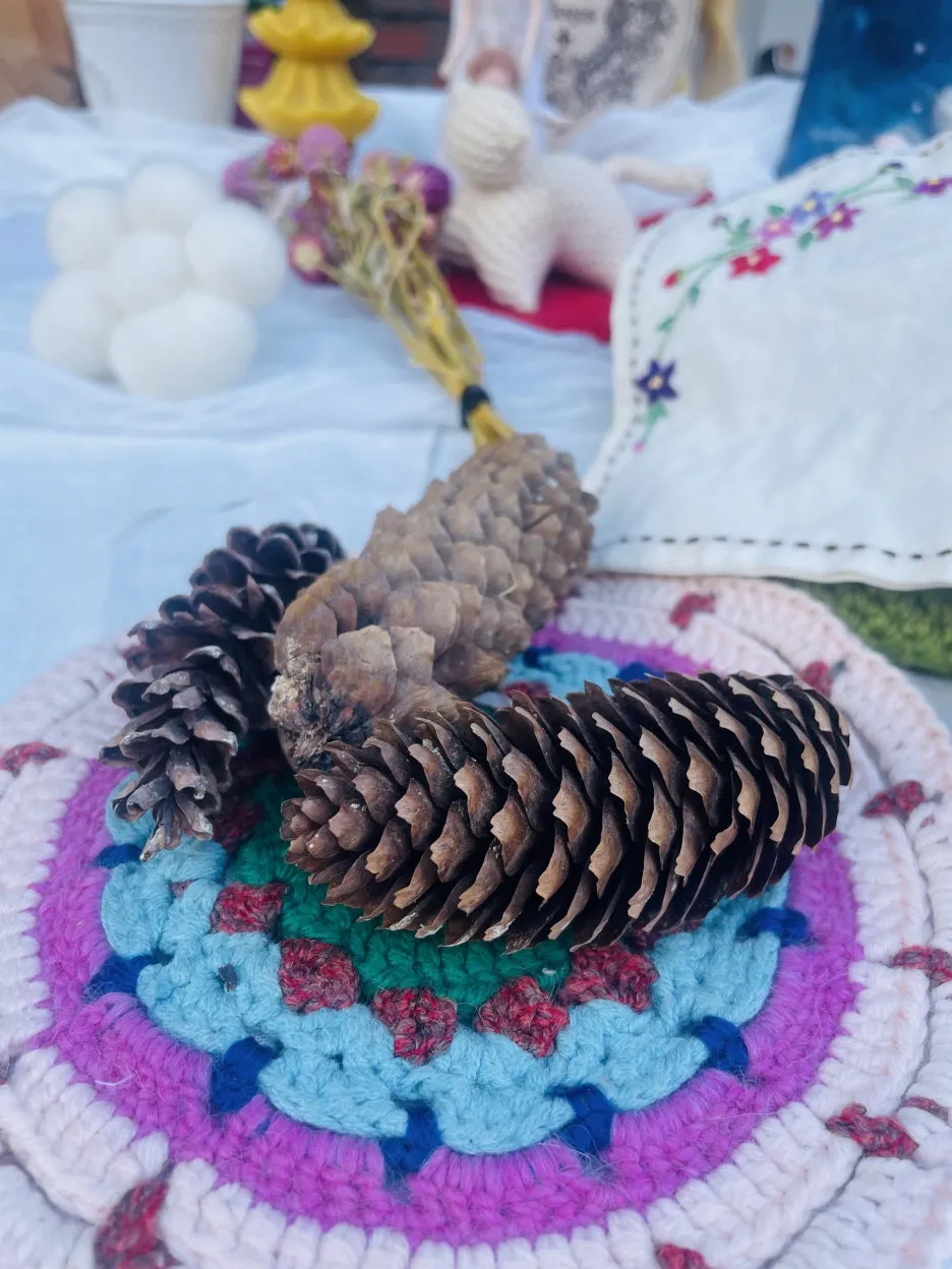 KakaoTalk_20241102_230007304.jpg?type=w1