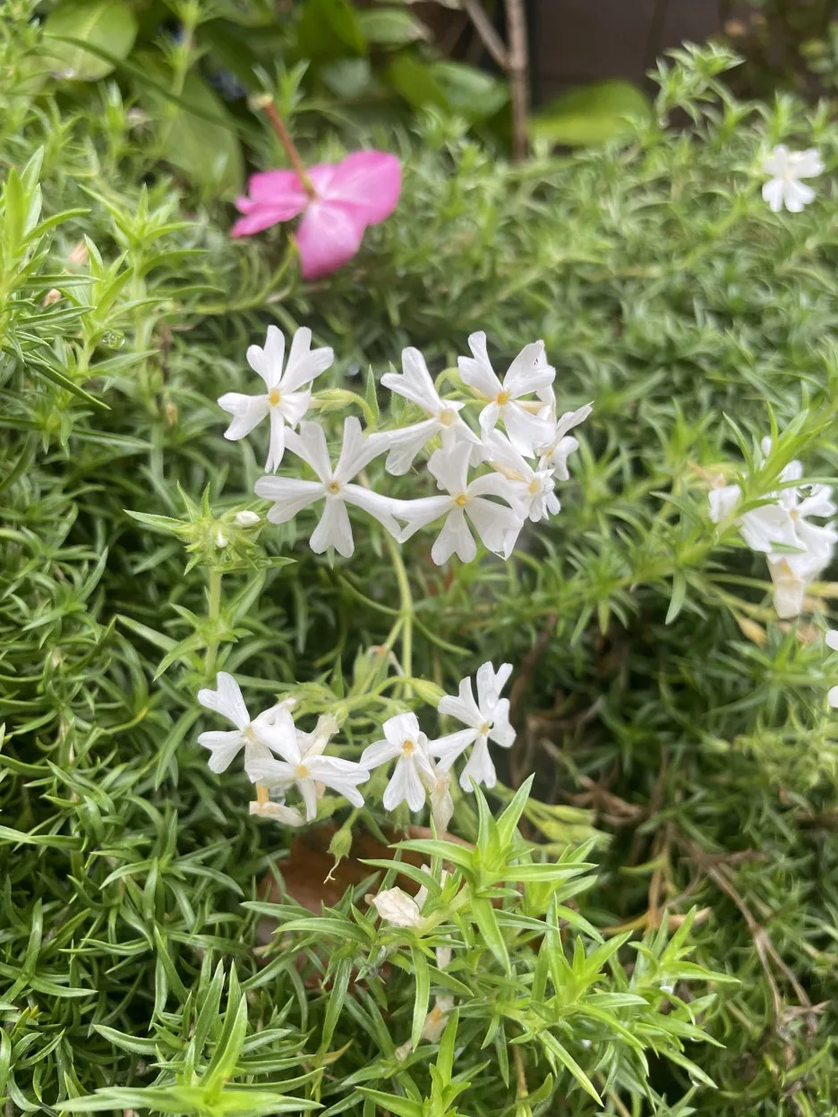 KakaoTalk_20241023_090901042.jpg?type=w1