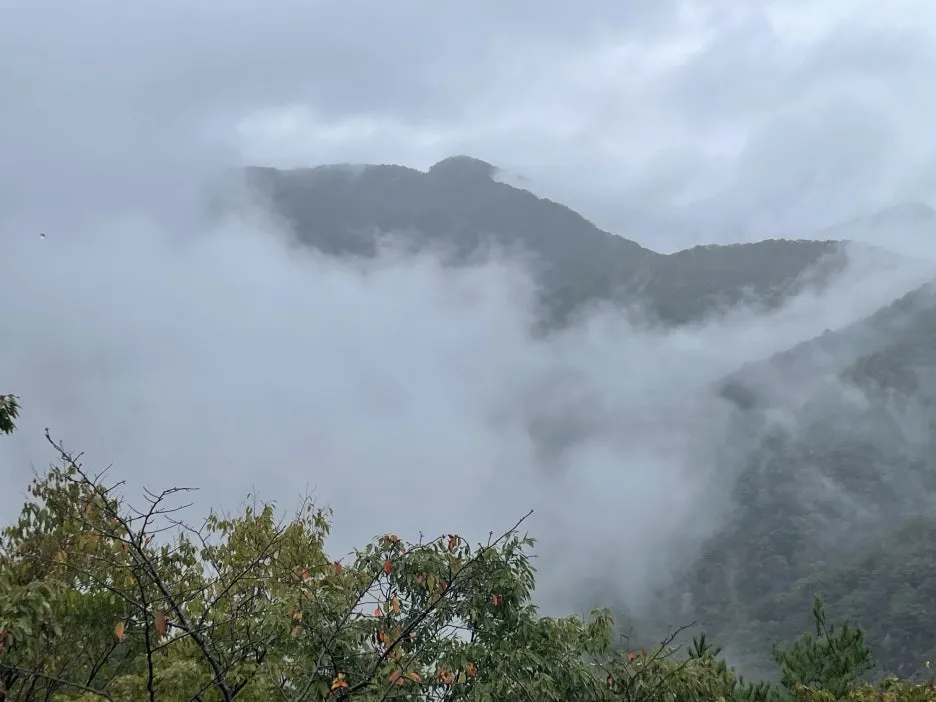 KakaoTalk_20241023_090928826.jpg?type=w1