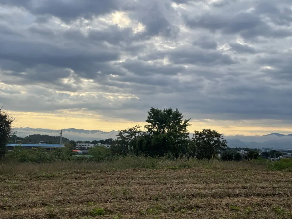 KakaoTalk_20241010_095404817.jpg?type=w1