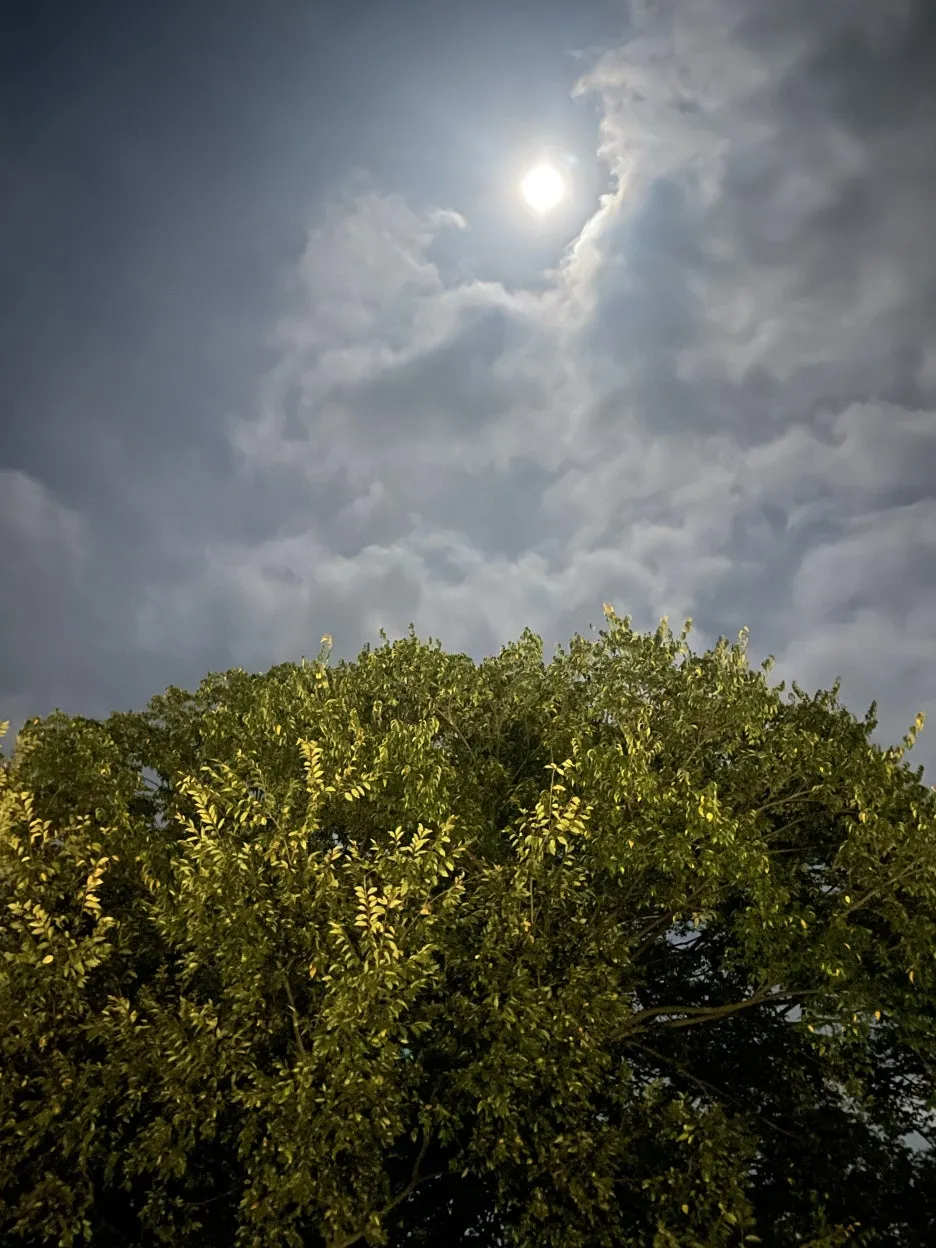 KakaoTalk_20241016_055634052.jpg?type=w1