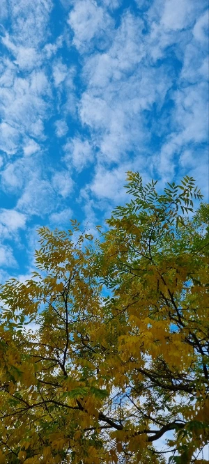 image.png?type=w3840