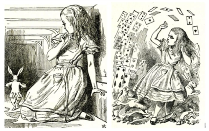 이상한 나라 앨리스.PNG