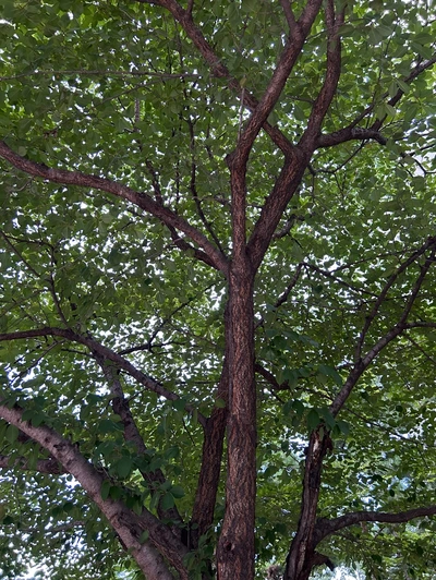 SE-74e67aef-ea04-48ea-b003-ec60deda3f45.png?type=w1