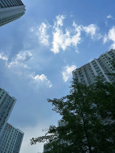 SE-f56a5780-d7e3-43a8-b9f7-4a7c626e2d53.png?type=w773