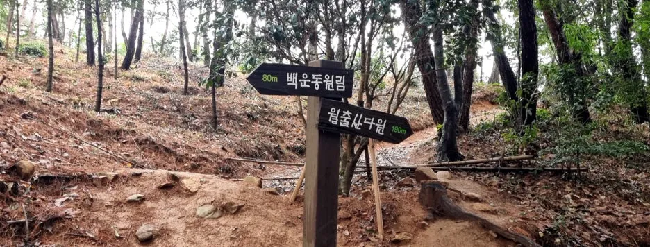 %EB%B0%B1%EC%9A%B4%EC%9B%90%EB%A6%BC08-1.jpg?type=w1