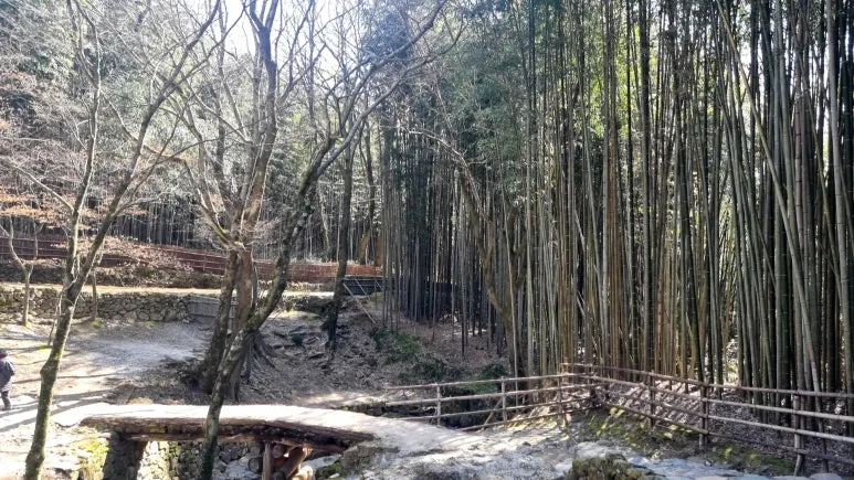 %EC%86%8C%EC%87%84%EC%9B%9002.jpg?type=w773