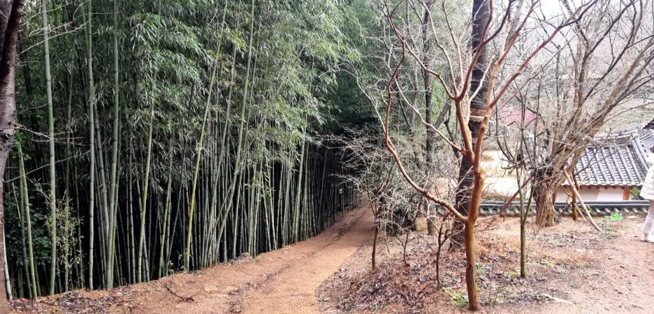 %EB%B0%B1%EC%9A%B4%EC%9B%90%EB%A6%BC07-1.jpg?type=w1