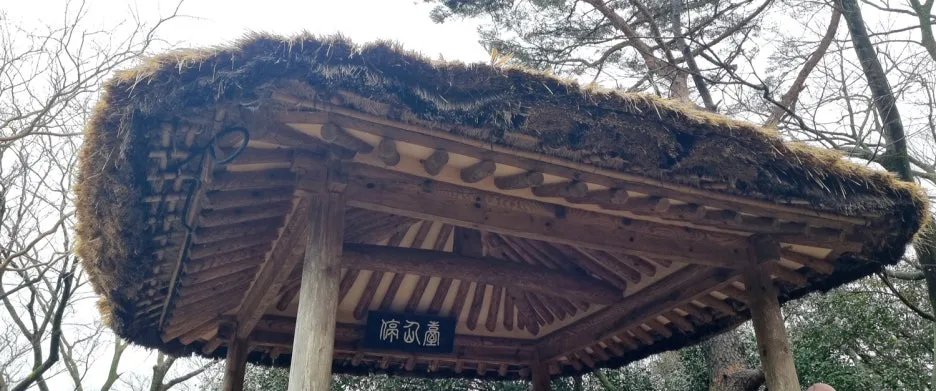 %EB%B0%B1%EC%9A%B4%EC%9B%90%EB%A6%BC11-1.jpg?type=w1