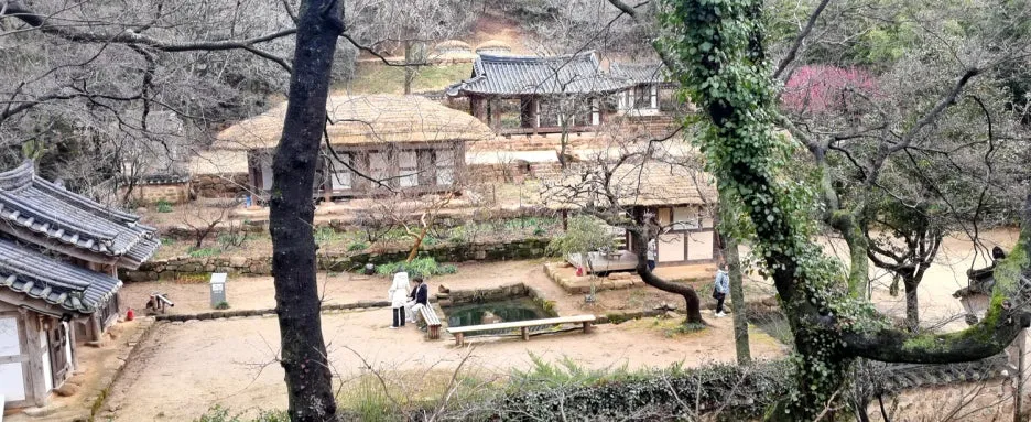 %EB%B0%B1%EC%9A%B4%EC%9B%90%EB%A6%BC10-1.jpg?type=w1