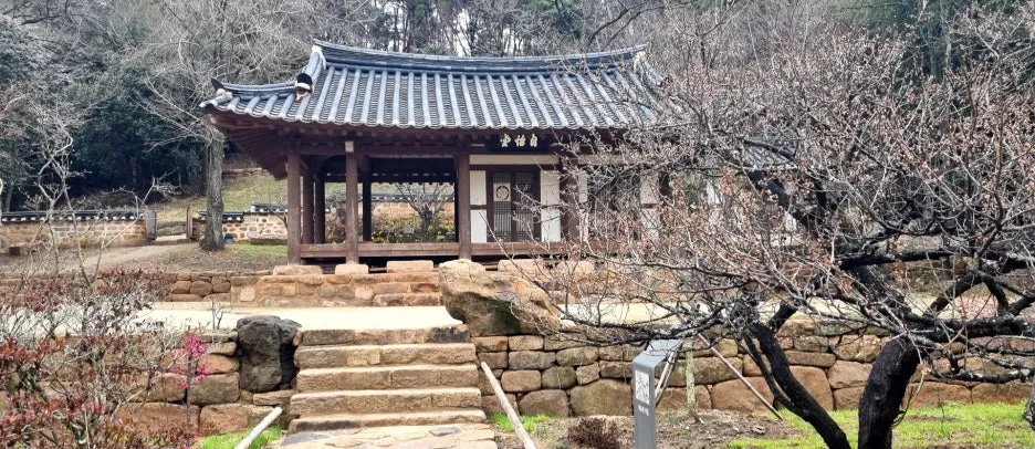 %EB%B0%B1%EC%9A%B4%EC%9B%90%EB%A6%BC04-1.jpg?type=w1