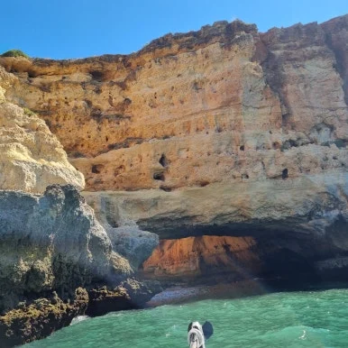 20250727_105625.jpg?type=w386