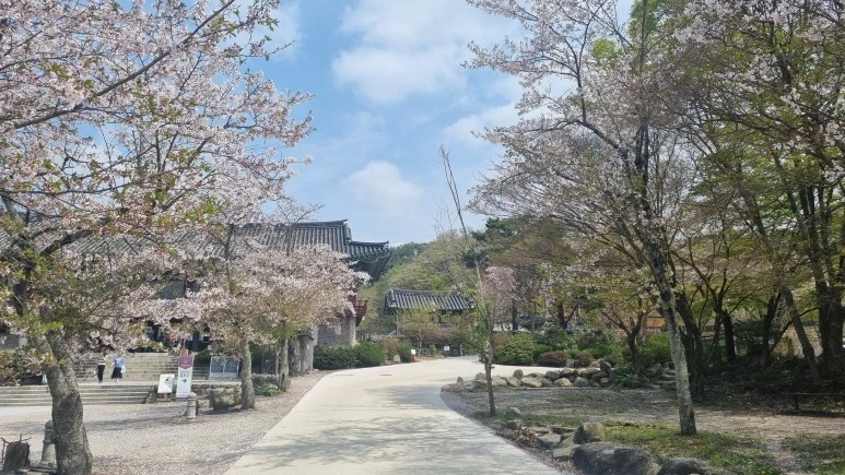 %EC%82%B0%EC%82%AC%EC%9D%98_%EB%B2%9A%EA%BD%83_1.jpg?type=w773