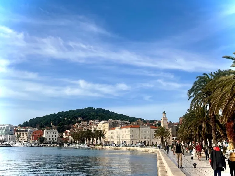 %EC%8A%A4%ED%94%8C%EB%A6%AC%ED%8A%B8_%EB%8F%84%EC%8B%9C_.jpg?type=w773