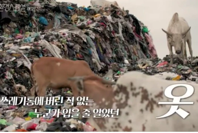 패스트 패션 사진 1.PNG