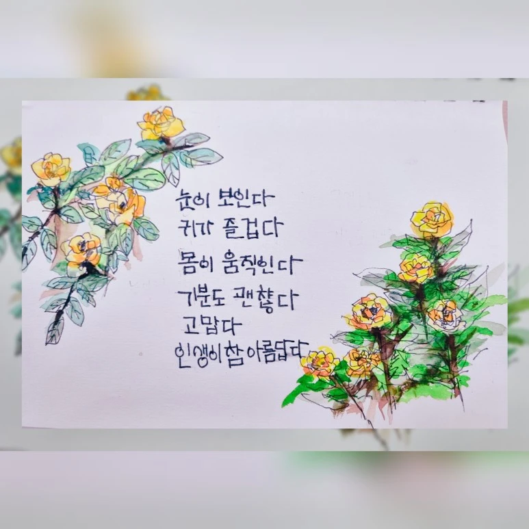 %EC%9D%B4%EC%8B%9C%ED%98%95_%EB%B0%95%EC%82%AC%EB%8B%98%EC%9D%98_%EA%B8%80%EA%B7%80.jpg?type=w773