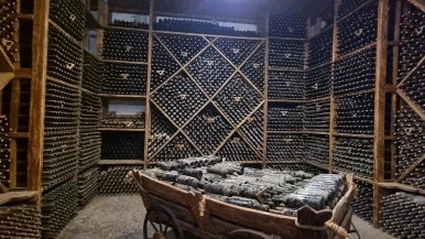 20240728_141641.jpg?type=w386