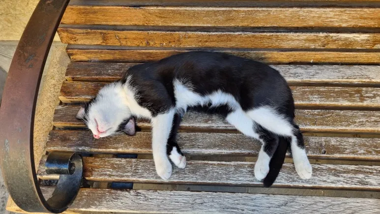 20240730_171432.jpg?type=w773