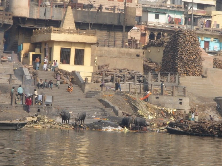 DSC06908.JPG?type=w773