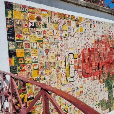 20250726_113259.jpg?type=w386