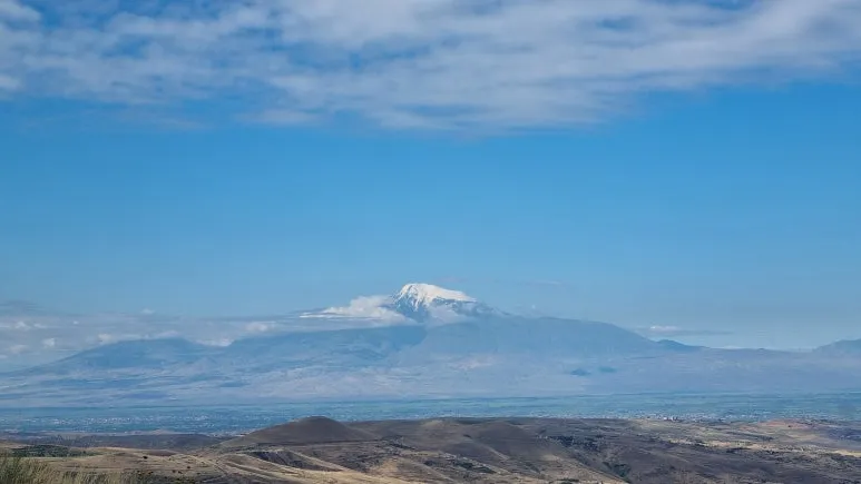 20240729_090112.jpg?type=w773