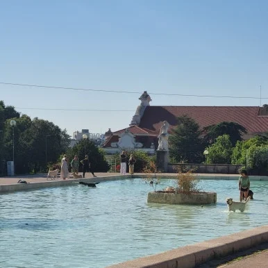 20250726_091753.jpg?type=w386