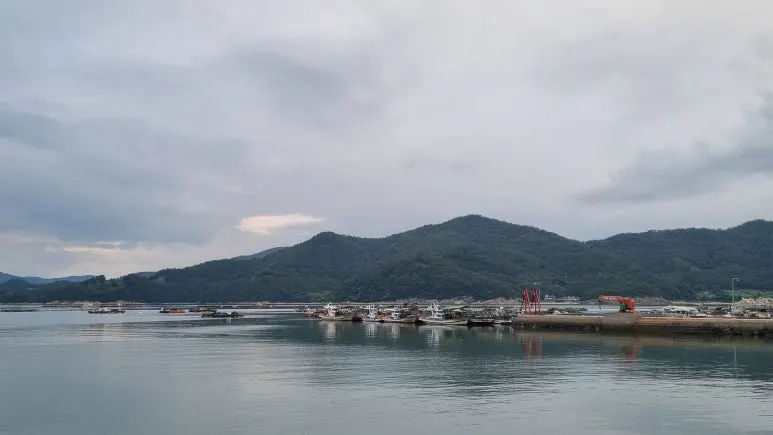 20251005_171838.jpg?type=w773