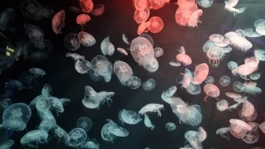 20240130_112417.jpg?type=w386