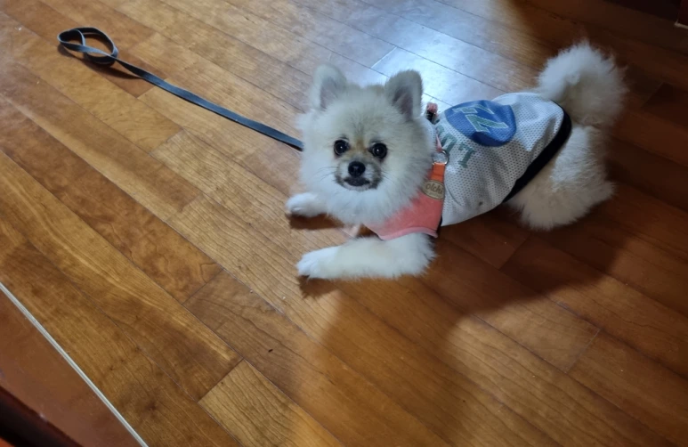 %EC%8A%AC%ED%94%88%ED%91%9C%EC%A0%95_%EC%A7%93%EC%A7%80_%EB%A7%90%EC%95%84%EC%9A%94.PNG?type=w773