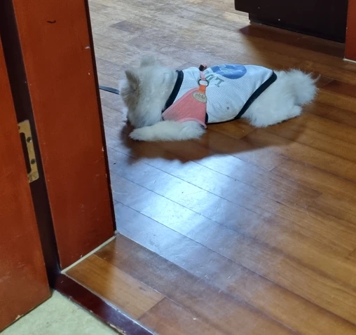 %EB%A7%8C%EB%B3%B5%EC%9D%B4_%EC%82%90%EC%A7%90.PNG?type=w773