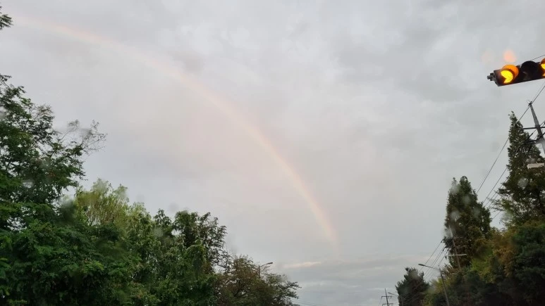 %ED%87%B4%EA%B7%BC%EA%B8%B8%EC%97%90_%EB%AC%B4%EC%A7%80%EA%B0%9C%EB%A5%BC_%EB%A7%8C%EB%82%98%EB%8B%A4.jpg?type=w773