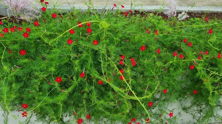 20251006_082744.jpg?type=w773