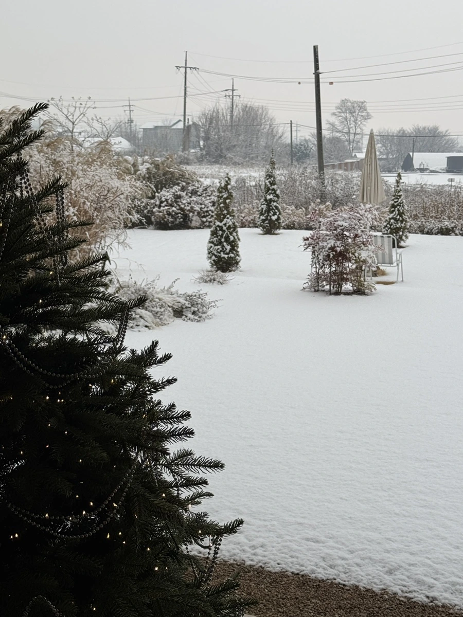 IMG_4419.JPG?type=w1