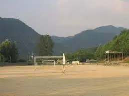 images?q=tbn:ANd9GcSwvy4nq-bM0Y7OGvmlyK5Q5focxtIePZ5uVg&amp;usqp=CAU