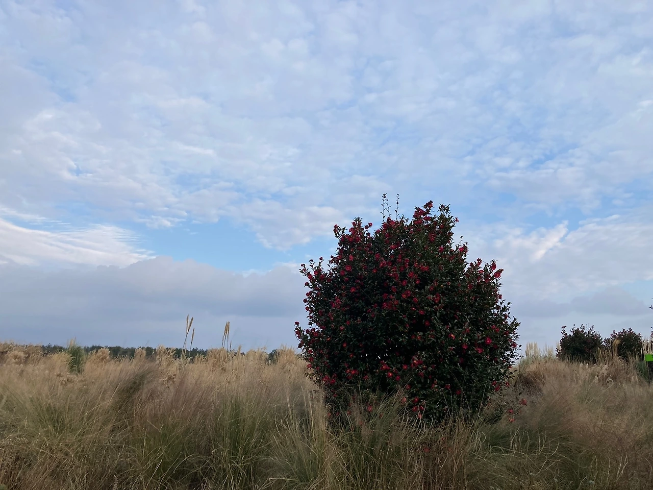 KakaoTalk_Photo_2023-12-28-18-17-36 013.jpeg