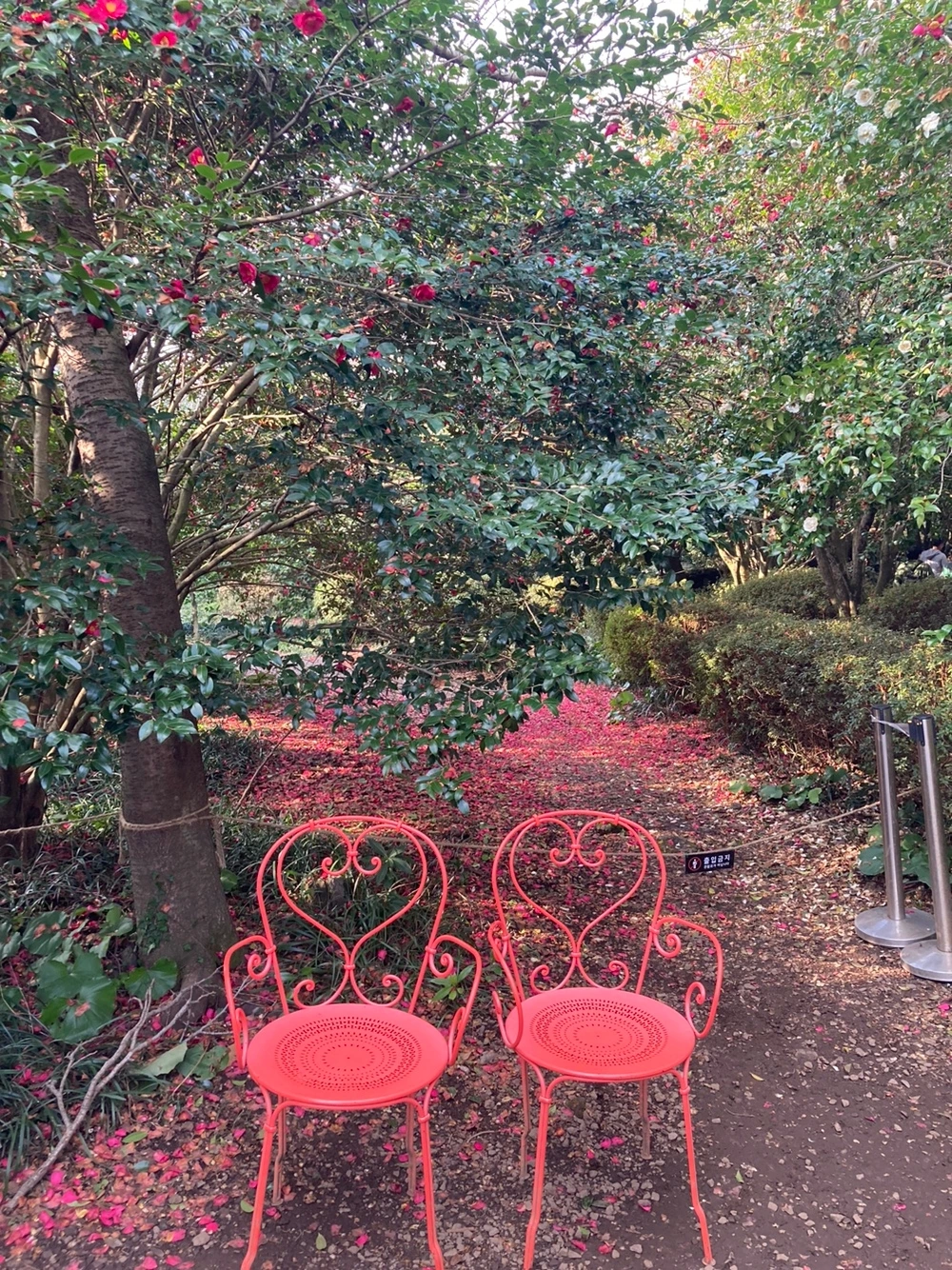 KakaoTalk_Photo_2023-12-28-18-17-36 012.jpeg