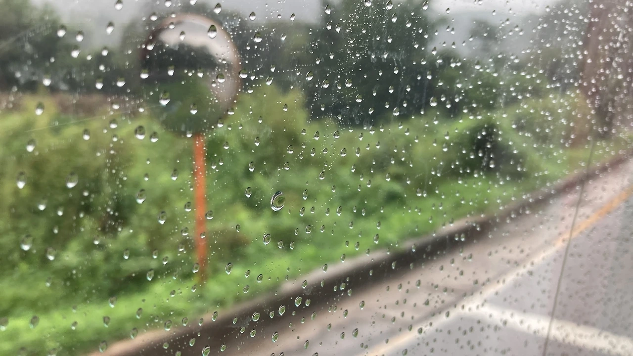 KakaoTalk_Photo_2023-08-26-10-40-06 010.jpeg