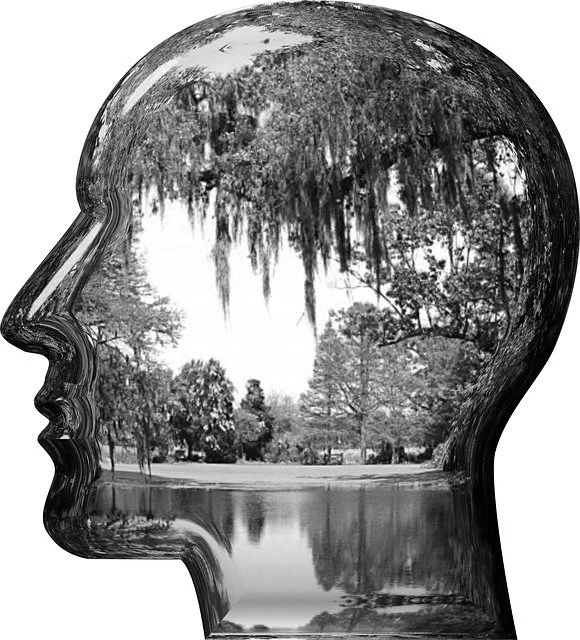 head-1745244_640.jpg?type=w1200