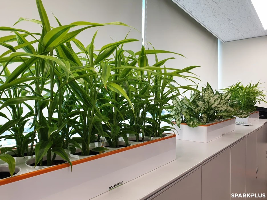 SE-9c63e58d-1d72-4804-8ef1-43685d8a3ac3.jpg?type=w1