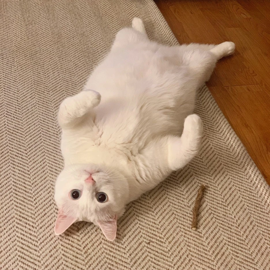 64CE42FF-BA37-429D-849A-B258B46B5ACF_-_%EA%B0%95%EC%88%9C%EC%B0%8C.jpeg?type=w1