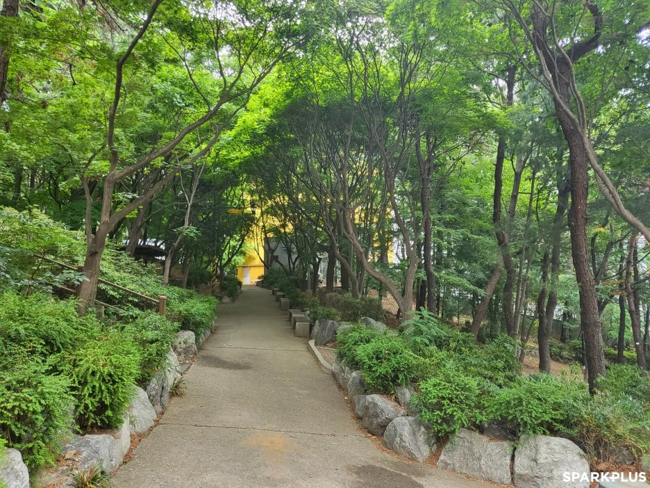 SE-bd94a5c7-58ea-4362-a244-66cd5e13ecc6.jpg?type=w1