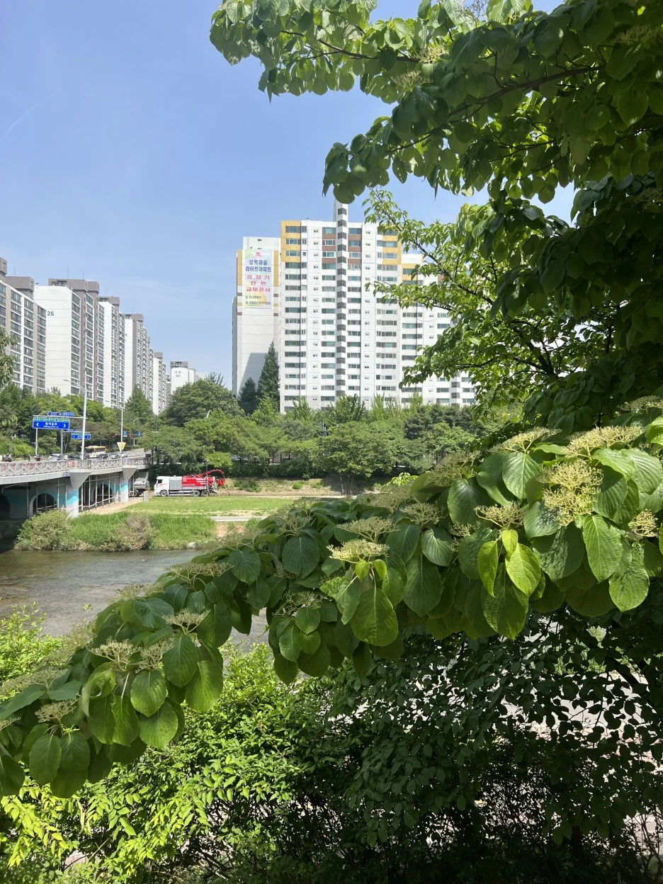 KakaoTalk_20230517_173300811_28.jpg?type=w1