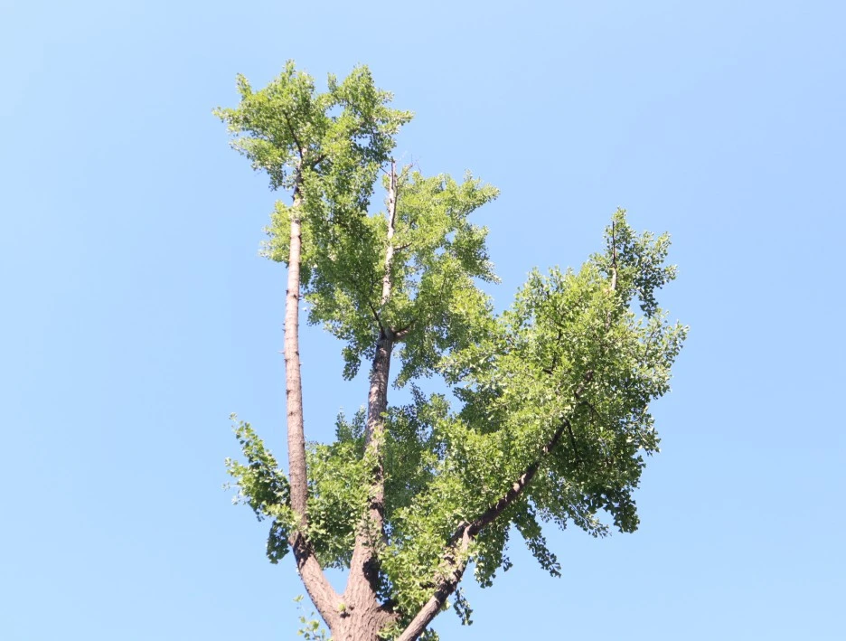 IMG_7269.JPG?type=w1