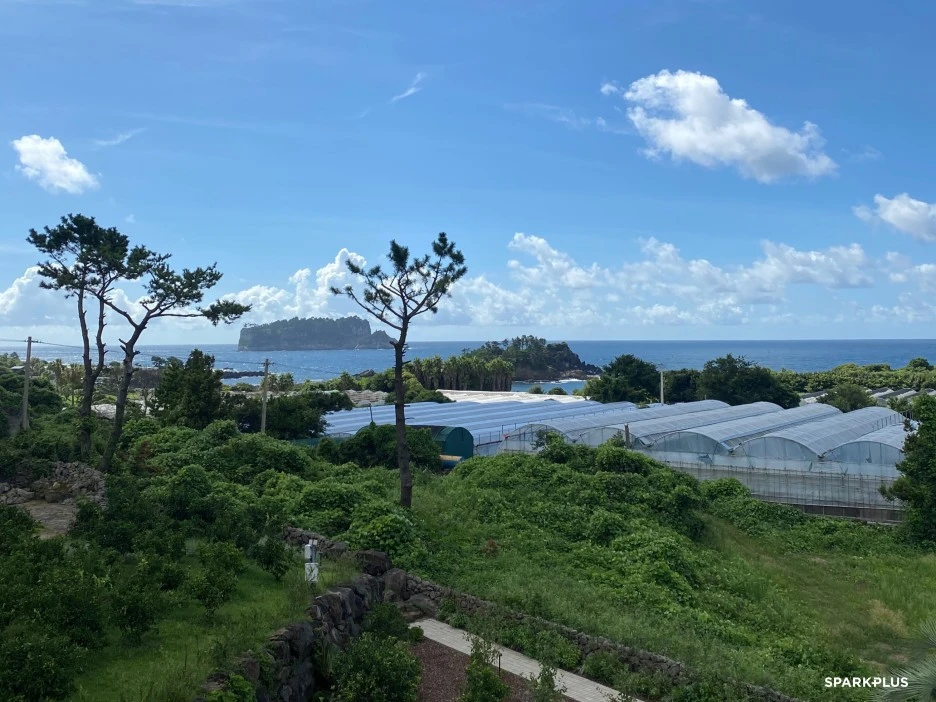 SE-5dd2550d-0155-4daa-ba57-52981de586e2.jpg?type=w1