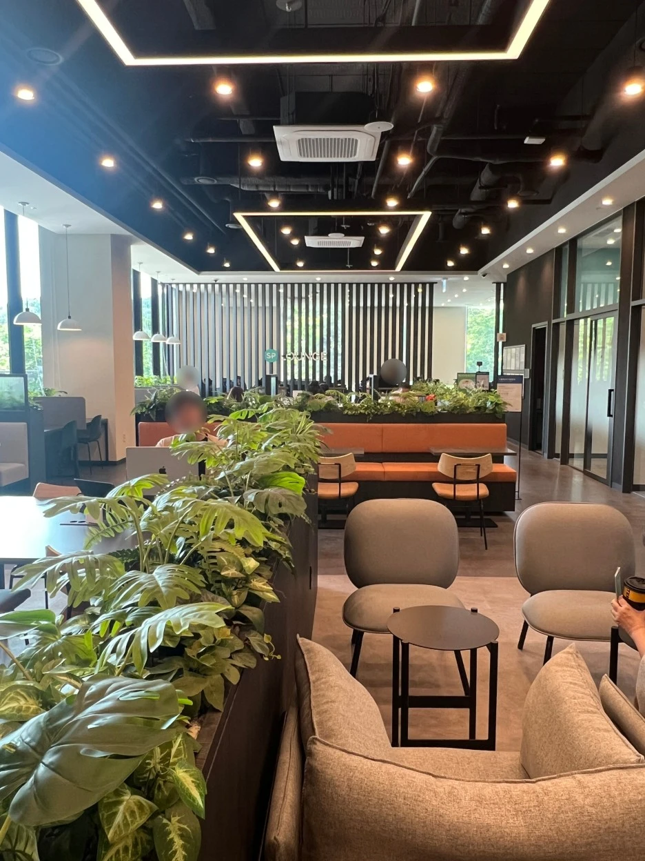 SE-51800cf0-a4fe-4a9b-b066-dc908dd95282.jpg?type=w1