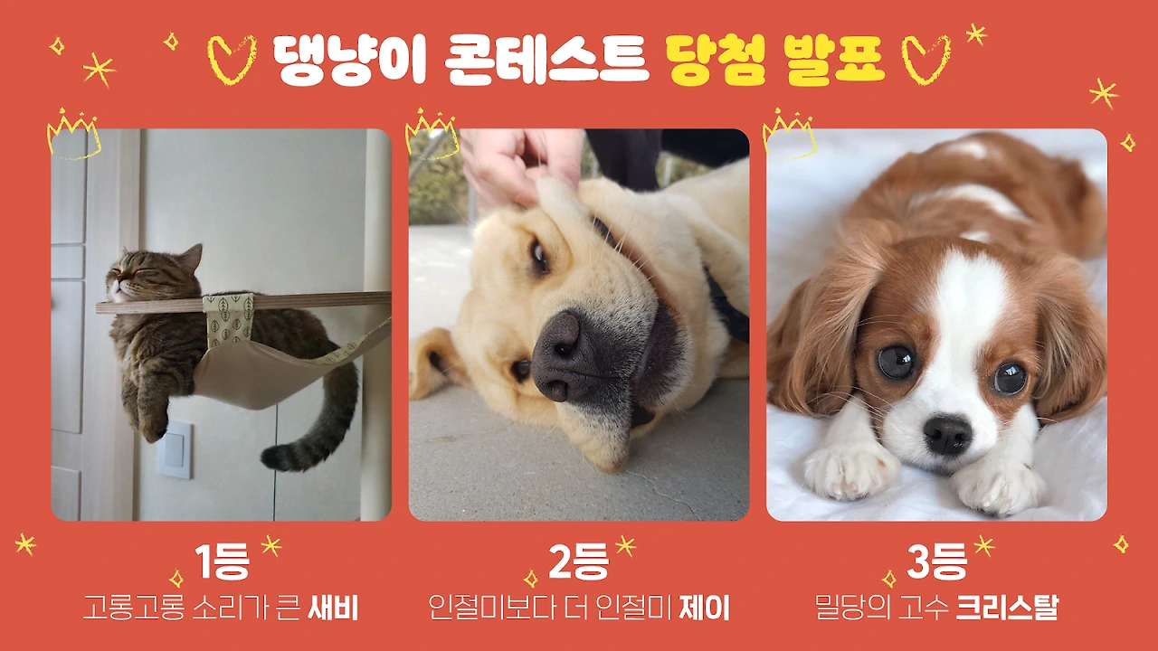 9rNkuPXmIoJNkI2ONThPOngWyes7F4Fc-8ddhc7Ok70e5ArjD2-CyyBzvxW9ysMqTOO732rez49KarDJCH4p7aVwNVhn-OZEbGLd9ZZ4tbGs7Rx3pXEHG7FS7lGciqkTDdNWINLT